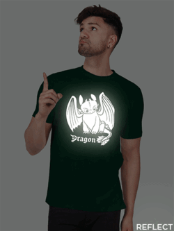 Bgreen Cotton Toothless Dragon Men Reflective T-shirt
